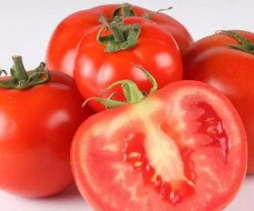 番茄爆料日常视频,揭秘网红生活点滴